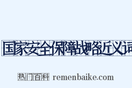 国家安全保障战略近义词是什么意思的图片